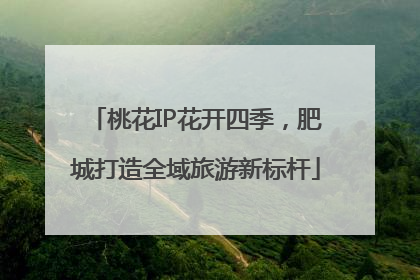 桃花IP花开四季，肥城打造全域旅游新标杆